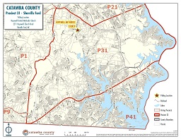 P31